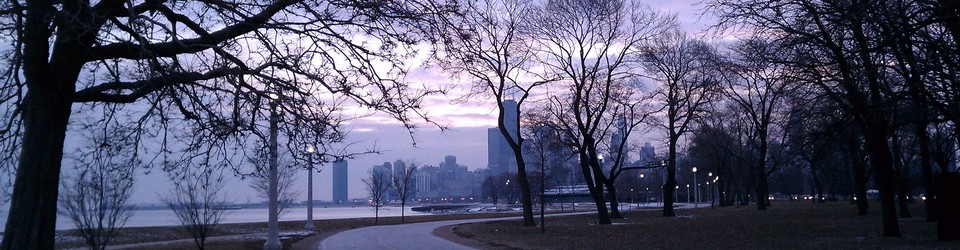 Skyline on evening commute